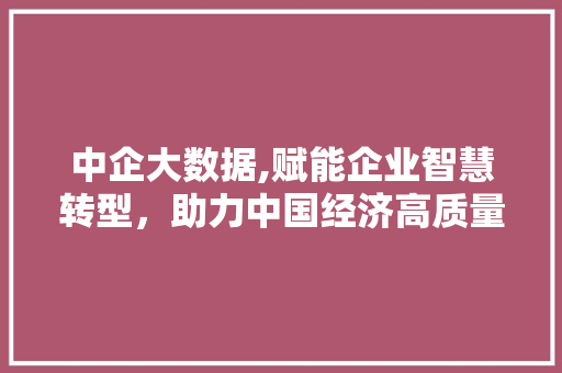 中企大数据,赋能企业智慧转型,助力中国经济高质量发展 中企大数据,赋能企业智慧转型,助力中国经济高质量发展