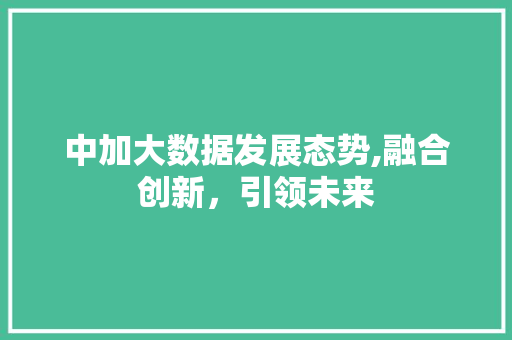 中加大数据发展态势,融合创新,引领未来 中加大数据发展态势,融合创新,引领未来