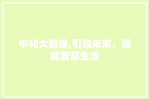 中和大数据,引领未来,赋能智慧生活 中和大数据,引领未来,赋能智慧生活