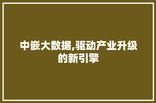 中嵌大数据,驱动产业升级的新引擎