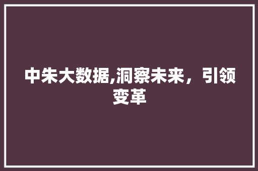 中朱大数据,洞察未来,引领变革 中朱大数据,洞察未来,引领变革