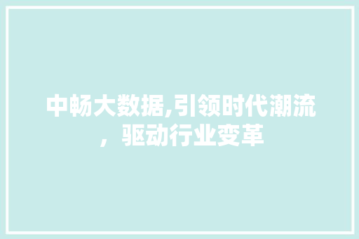 中畅大数据,引领时代潮流,驱动行业变革 中畅大数据,引领时代潮流,驱动行业变革