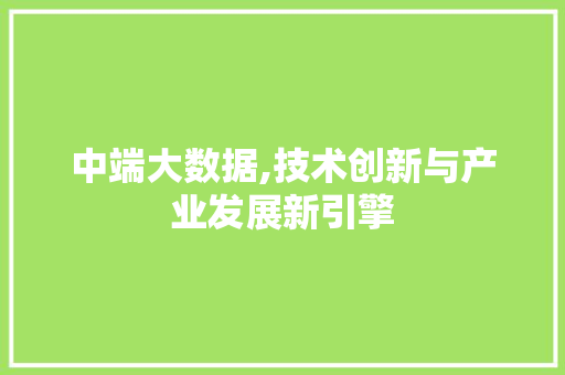 中端大数据,技术创新与产业发展新引擎 中端大数据,技术创新与产业发展新引擎