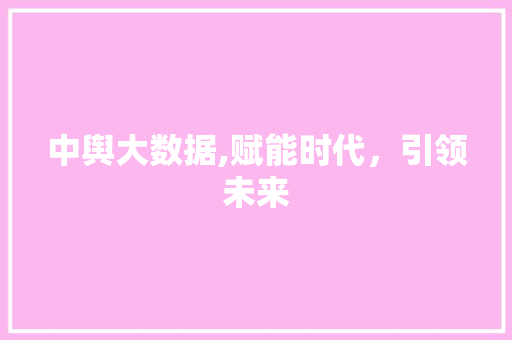 中舆大数据,赋能时代,引领未来 中舆大数据,赋能时代,引领未来