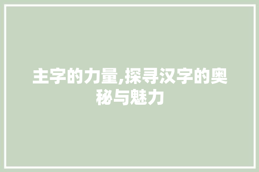 主字的力量,探寻汉字的奥秘与魅力
