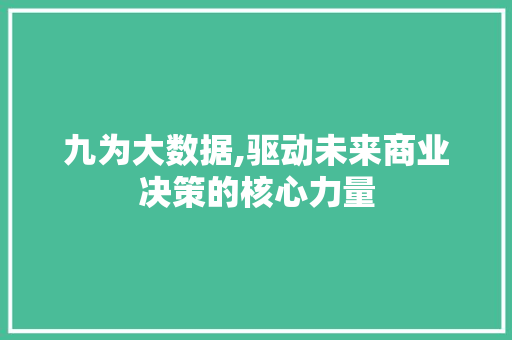 九为大数据,驱动未来商业决策的核心力量