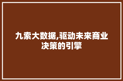 九索大数据,驱动未来商业决策的引擎