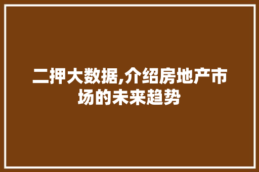 二押大数据,介绍房地产市场的未来趋势