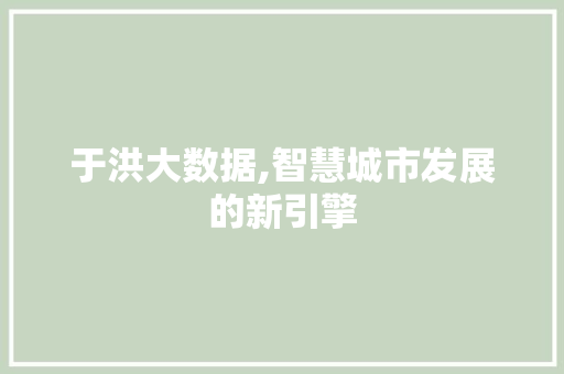于洪大数据,智慧城市发展的新引擎