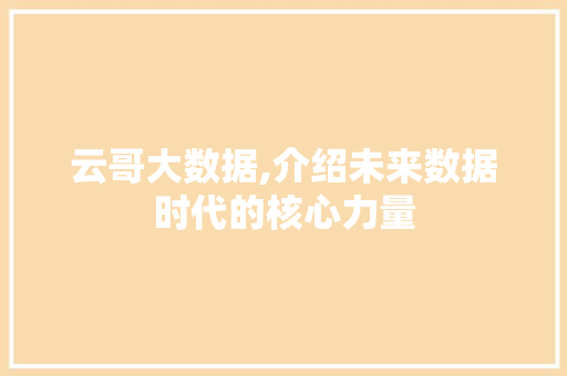 云哥大数据,介绍未来数据时代的核心力量