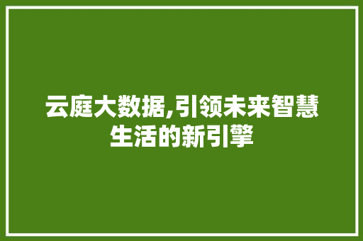 云庭大数据,引领未来智慧生活的新引擎