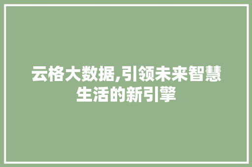云格大数据,引领未来智慧生活的新引擎