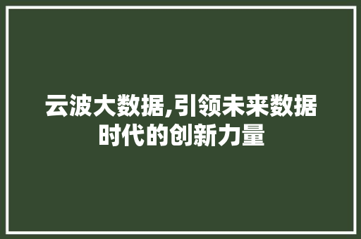 云波大数据,引领未来数据时代的创新力量