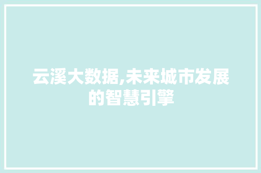 云溪大数据,未来城市发展的智慧引擎
