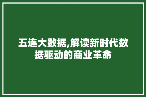 五连大数据,解读新时代数据驱动的商业革命
