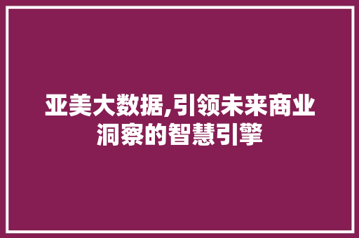 亚美大数据,引领未来商业洞察的智慧引擎