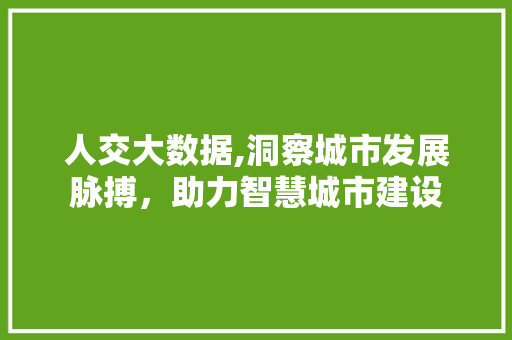 人交大数据,洞察城市发展脉搏，助力智慧城市建设