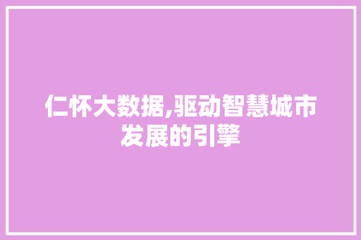 仁怀大数据,驱动智慧城市发展的引擎