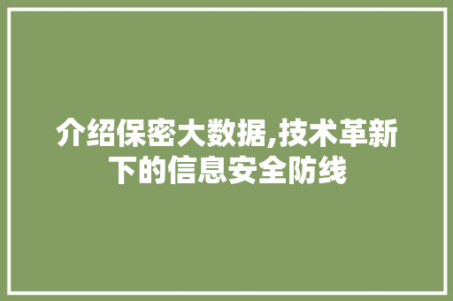 介绍保密大数据,技术革新下的信息安全防线