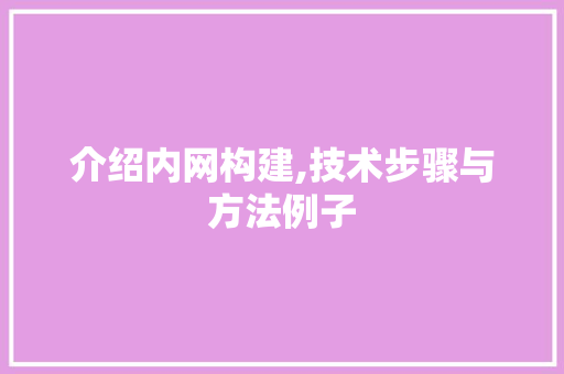 介绍内网构建,技术步骤与方法例子