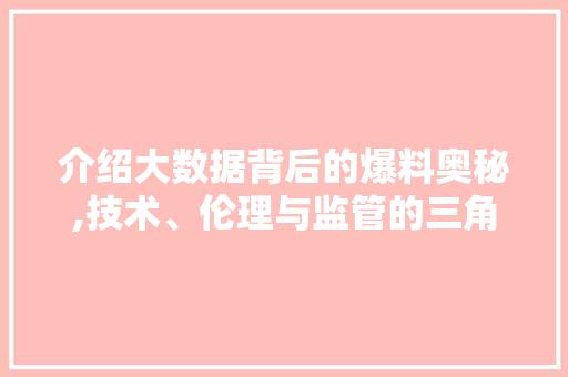 介绍大数据背后的爆料奥秘,技术、伦理与监管的三角博弈 花朵知识