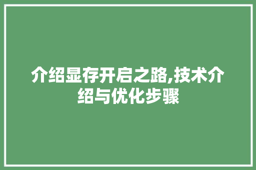 介绍显存开启之路,技术介绍与优化步骤 介绍显存开启之路,技术介绍与优化步骤