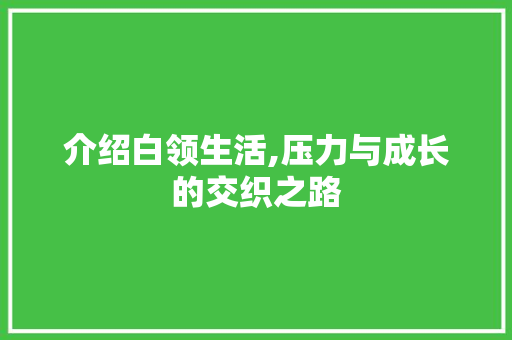 介绍白领生活,压力与成长的交织之路