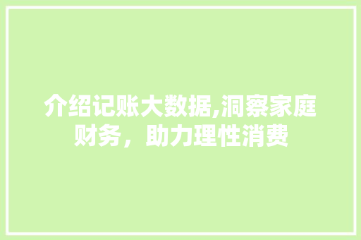 介绍记账大数据,洞察家庭财务，助力理性消费