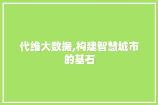 代维大数据,构建智慧城市的基石 代维大数据,构建智慧城市的基石