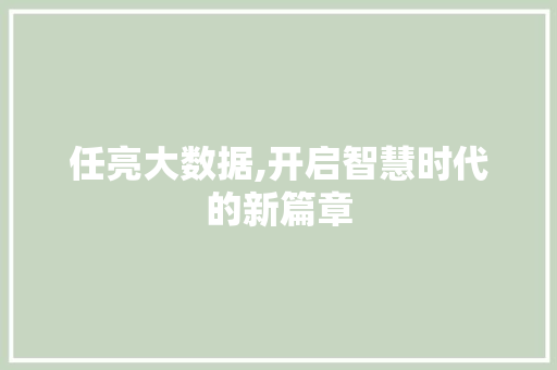 任亮大数据,开启智慧时代的新篇章 任亮大数据,开启智慧时代的新篇章