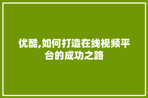 优酷,如何打造在线视频平台的成功之路