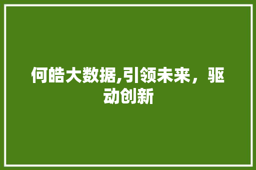 何皓大数据,引领未来，驱动创新