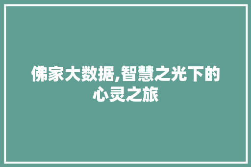 佛家大数据,智慧之光下的心灵之旅