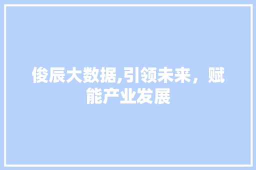 俊辰大数据,引领未来，赋能产业发展