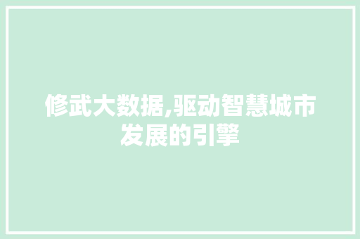 修武大数据,驱动智慧城市发展的引擎