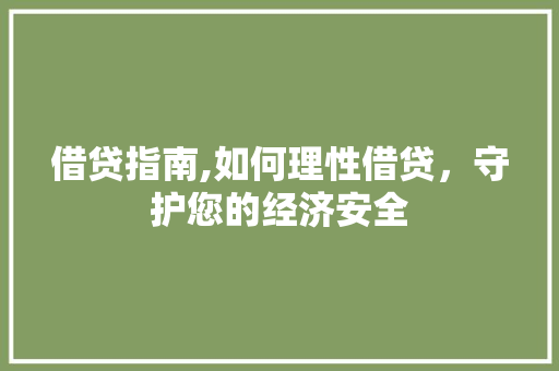 借贷指南,如何理性借贷，守护您的经济安全