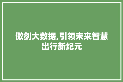 傲剑大数据,引领未来智慧出行新纪元