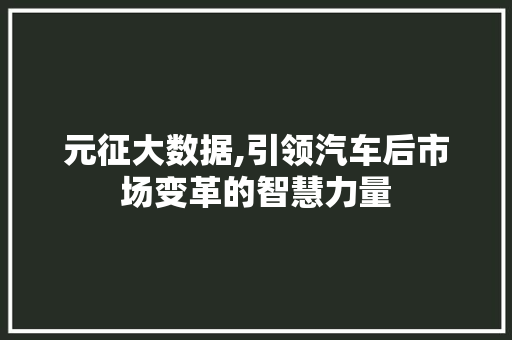 元征大数据,引领汽车后市场变革的智慧力量