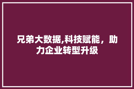 兄弟大数据,科技赋能,助力企业转型升级 兄弟大数据,科技赋能,助力企业转型升级