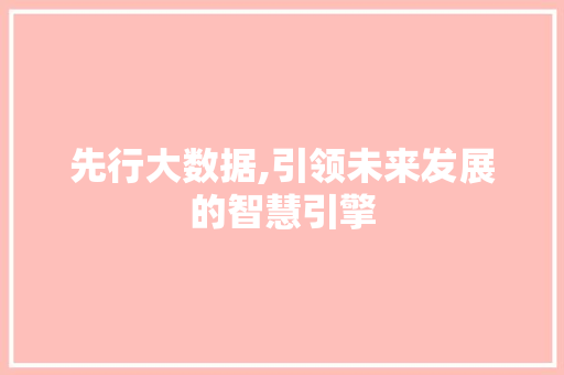 先行大数据,引领未来发展的智慧引擎 先行大数据,引领未来发展的智慧引擎