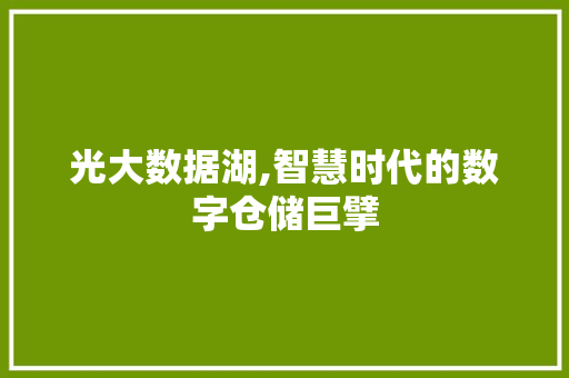 光大数据湖,智慧时代的数字仓储巨擘