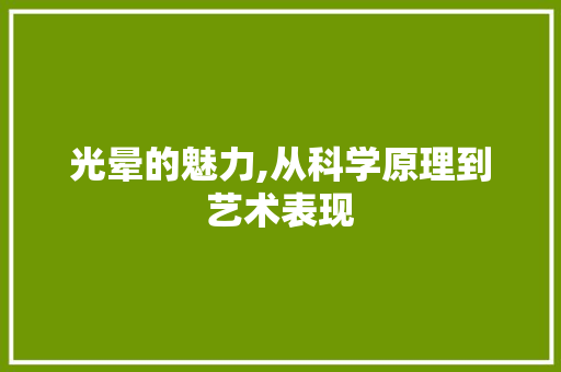光晕的魅力,从科学原理到艺术表现 光晕的魅力,从科学原理到艺术表现
