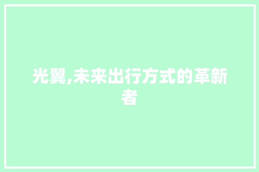 光翼,未来出行方式的革新者 光翼,未来出行方式的革新者