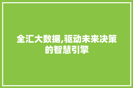 全汇大数据,驱动未来决策的智慧引擎