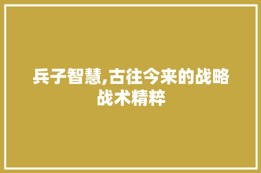 兵子智慧,古往今来的战略战术精粹
