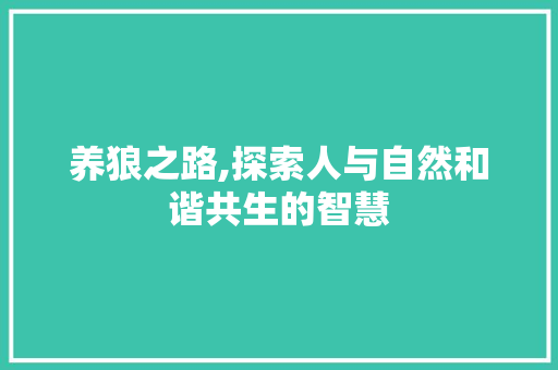养狼之路,探索人与自然和谐共生的智慧