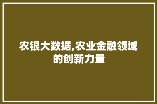 农银大数据,农业金融领域的创新力量