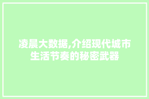 凌晨大数据,介绍现代城市生活节奏的秘密武器 种植技巧