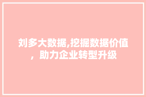 刘多大数据,挖掘数据价值,助力企业转型升级 刘多大数据,挖掘数据价值,助力企业转型升级