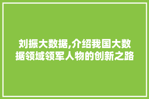 刘振大数据,介绍我国大数据领域领军人物的创新之路
